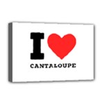 I love cantaloupe  Deluxe Canvas 18  x 12  (Stretched)