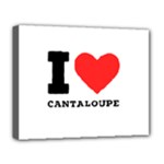 I love cantaloupe  Deluxe Canvas 20  x 16  (Stretched)