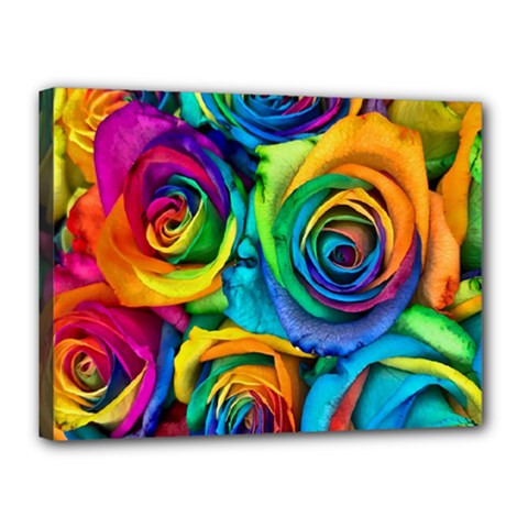 Colorful Roses Bouquet Rainbow Canvas 16  x 12  (Stretched) from ArtsNow.com