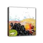 Variety Of Fruit Water Berry Food Splash Kiwi Grape Mini Canvas 4  x 4  (Stretched)