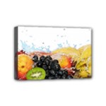 Variety Of Fruit Water Berry Food Splash Kiwi Grape Mini Canvas 6  x 4  (Stretched)