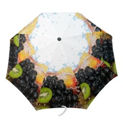 Folding Umbrella 