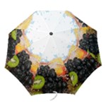 Variety Of Fruit Water Berry Food Splash Kiwi Grape Folding Umbrellas