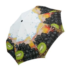 Folding Umbrella 
