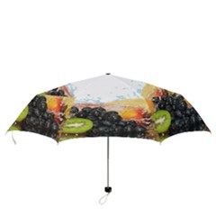 Folding Umbrella 