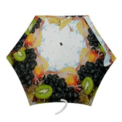 Mini Folding Umbrella 