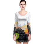 Variety Of Fruit Water Berry Food Splash Kiwi Grape Long Sleeve Bodycon Dress