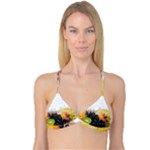 Variety Of Fruit Water Berry Food Splash Kiwi Grape Reversible Tri Bikini Top