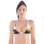 Variety Of Fruit Water Berry Food Splash Kiwi Grape Plunge Bikini Top