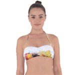 Variety Of Fruit Water Berry Food Splash Kiwi Grape Halter Bandeau Bikini Top