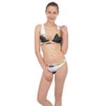 Variety Of Fruit Water Berry Food Splash Kiwi Grape Classic Banded Bikini Set 