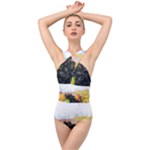 Variety Of Fruit Water Berry Food Splash Kiwi Grape Cross Front Low Back Swimsuit