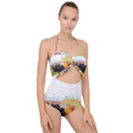 Variety Of Fruit Water Berry Food Splash Kiwi Grape Scallop Top Cut Out Swimsuit