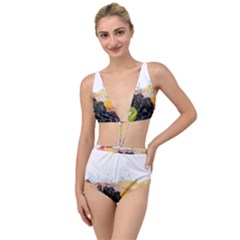 Tied Up Two Piece Swimsuit 