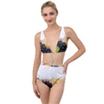 Variety Of Fruit Water Berry Food Splash Kiwi Grape Tied Up Two Piece Swimsuit