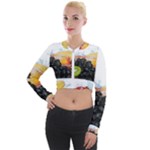 Variety Of Fruit Water Berry Food Splash Kiwi Grape Long Sleeve Cropped Velvet Jacket