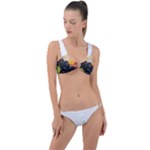 Variety Of Fruit Water Berry Food Splash Kiwi Grape Ring Detail Crop Bikini Set