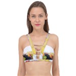 Variety Of Fruit Water Berry Food Splash Kiwi Grape Cage Up Bikini Top