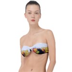 Variety Of Fruit Water Berry Food Splash Kiwi Grape Classic Bandeau Bikini Top 