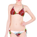 Red Strawberries Water Squirt Strawberry Fresh Splash Drops Classic Bikini Set