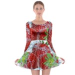 Red Strawberries Water Squirt Strawberry Fresh Splash Drops Long Sleeve Skater Dress