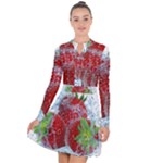 Red Strawberries Water Squirt Strawberry Fresh Splash Drops Long Sleeve Panel Dress