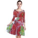 Red Strawberries Water Squirt Strawberry Fresh Splash Drops Quarter Sleeve Waist Band Dress