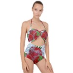 Red Strawberries Water Squirt Strawberry Fresh Splash Drops Scallop Top Cut Out Swimsuit