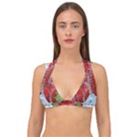 Red Strawberries Water Squirt Strawberry Fresh Splash Drops Double Strap Halter Bikini Top