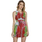 Red Strawberries Water Squirt Strawberry Fresh Splash Drops Sleeveless High Waist Mini Dress