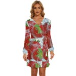 Red Strawberries Water Squirt Strawberry Fresh Splash Drops Long Sleeve Waist Tie Ruffle Velvet Dress