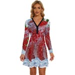 Red Strawberries Water Squirt Strawberry Fresh Splash Drops Long Sleeve Deep V Mini Dress 