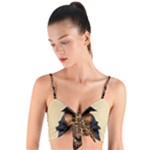 Cute Adorable Victorian Steampunk Girl Woven Tie Front Bralet