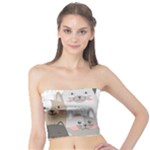 Cute Cats Seamless Pattern Tube Top