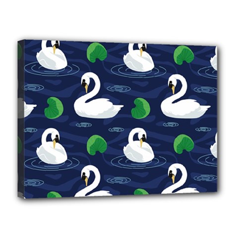 Swan