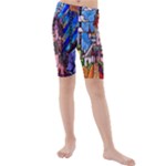 Beauty Stained Glass Castle Building Kids  Mid Length Swim Shorts