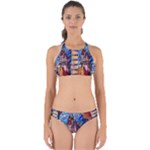 Beauty Stained Glass Castle Building Perfectly Cut Out Bikini Set