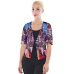 Beauty Stained Glass Castle Building Cropped Button Cardigan