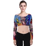Beauty Stained Glass Castle Building Velvet Long Sleeve Crop Top