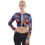 Beauty Stained Glass Castle Building Long Sleeve Cropped Velvet Jacket