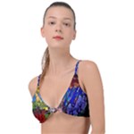 Beauty Stained Glass Castle Building Knot Up Bikini Top