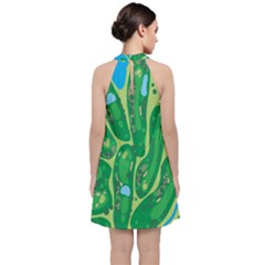Velvet Halter Neckline Dress  