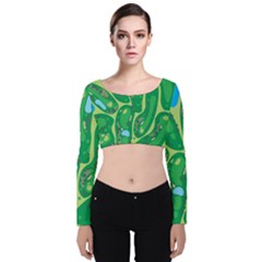Velvet Long Sleeve Crop Top 