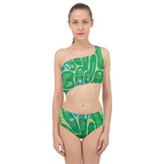 Spliced Up Two Piece Swimsuit 