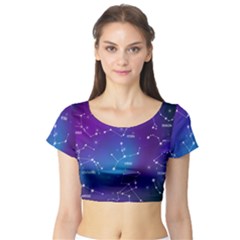 Short Sleeve Crop Top 
