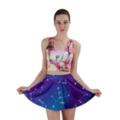 Mini Skirt Skirt Front