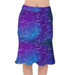 Realistic Night Sky With Constellations Short Mermaid Skirt