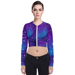 Long Sleeve Zip Up Bomber Jacket 