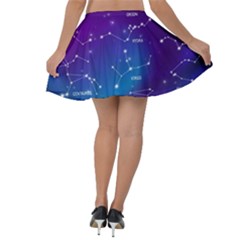 Velvet Skater Skirt 