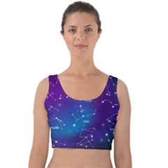 Velvet Crop Top 